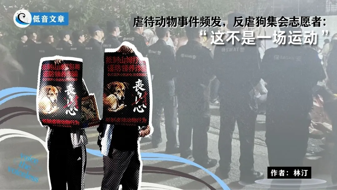 虐待动物事件频发，反虐狗集会志愿者：“这不是一场运动”